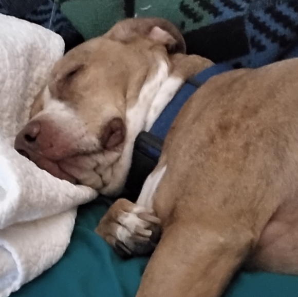 Meet your Posher, Retta - Picture 5 of 5